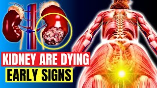 12 Signs Your Kidneys Are in Danger  kidney failure symptoms [upl. by Ziguard]