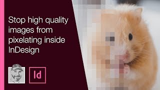 Stop high quality images from pixelating inside InDesign [upl. by Jacinthe]