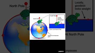 What is geodesics geodesic curve physics shape [upl. by Ikim]