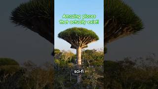 Must see places travel amazingnature ytshorts [upl. by Nedak909]