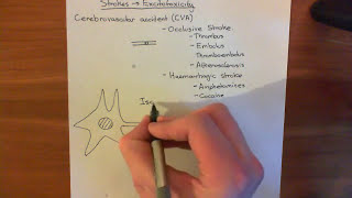 Strokes and Excitotoxicity Part 1 [upl. by Helfant]