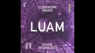 Clockwork Indigo Flatbush Zombies amp The Underachievers  LUAM [upl. by Dreda505]