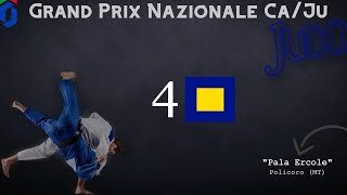 JUDO  GRAND PRIX della LUCANIA  Cadetti  Tatami 4 [upl. by Gaultiero]