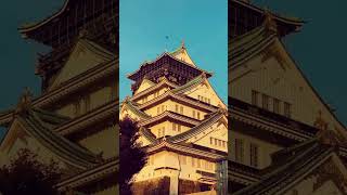 Gorgeous view from Osaka Castle at sunset [upl. by Anaujnas617]