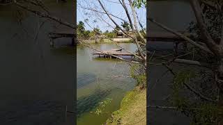 Belíssima lagoa para um piquenique vidanatural meioambiente [upl. by Ihcur]