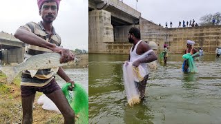 I have never seen such an amazing catch of fish  fishing video  village fishing fishing fish [upl. by Sheelah]