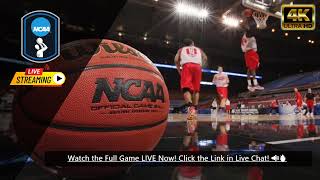 Hawaii Hilo vs Montana Live Stream  2024 College Basketball [upl. by Thecla]