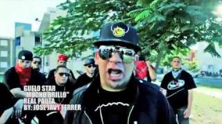 Mucho Brillo Intro Real Pauta  J Alvarez Arcangel Yomo Ñengo Flow Ñejo Dalmata amp Mas [upl. by Redman]