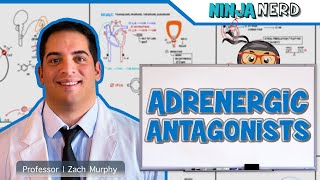 Autonomic Pharmacology  Adrenergic Antagonists [upl. by Oirramed]