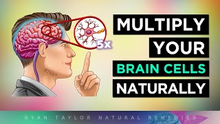 12 Ways To MULTIPLY Your BRAIN CELLS [upl. by Sven]