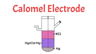 Calomel Electrode Construction and Working Problem [upl. by Riatsila568]