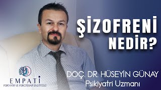 Şizofreni Nedir  Doç Dr Hüseyin Günay [upl. by Epillihp]