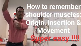 SHOULDER MUSCLES  Origin Insertion and Movement [upl. by Yong]