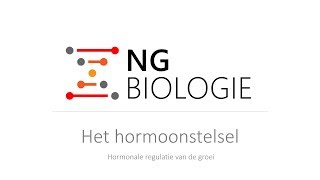 Het hormoonstelsel  hormonale regulatie van de groei  HAVOVWO [upl. by Ryhpez834]