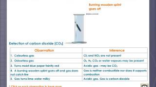 Carbon Dioxide Detection [upl. by Valina]