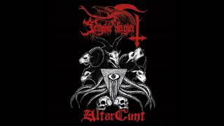 Seraphic Disgust  Altarcunt Full Album [upl. by Bloxberg]