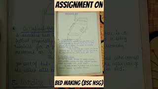 assignment on bed making bsc nursing thefacts galaxy shorts assignment [upl. by Eiramalegna565]