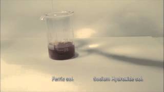 Reaction of Ferric Solution with Sodium Hydroxide solution [upl. by Angus645]