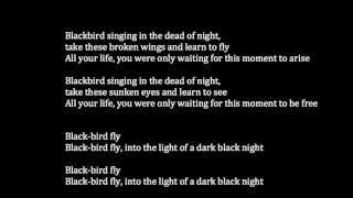 The Beatles  Blackbird Meaning [upl. by Yebloc]