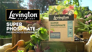 How to use Levington Superphosphate phosphorus supplement for vegetable plants [upl. by Saied327]