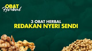 3 Obat Herbal Terampuh Redakan Nyeri Sendi Paling Cepat  Hidup Sehat TvOne [upl. by Pansie]