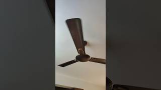 Fan Ceiling Fan 😁 shortvideo fan fansound shorts viralvideo [upl. by Shanleigh]