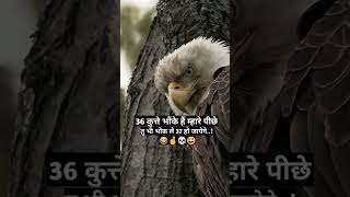 Tochan Full Video  SIDHU MOOSEWALA  BYG BYRD tochansong moosajatt [upl. by Enaillil48]