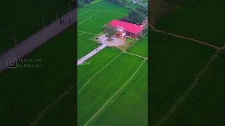 Uthralikkavu Train Drone view Beautiful Uthrali ഉത്രാളിക്കാവ് [upl. by Pierpont449]