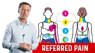 Referred Pain and the Abdomen [upl. by Notselrahc]