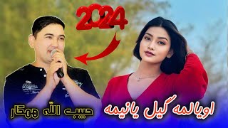 Habibullah Hamkar 2024  حبیب الله همکار quot اویالمه گیل یانیمه quot یاور خامیآب شعری [upl. by Berman991]