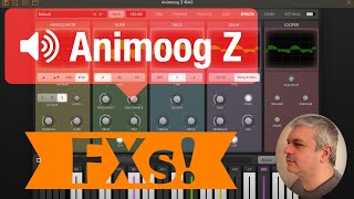 Moog Music Animoog Z  Tutorial Part 6 How to use Effects including AUv3 Effects [upl. by Nnaarat152]