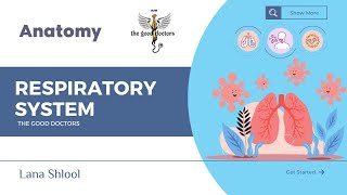 Lecture 2  Pharynx  Anatomy RS [upl. by Les]