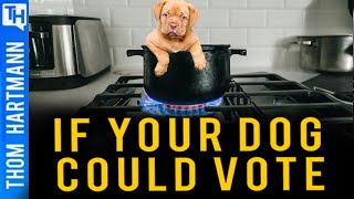 Are Republicans Eating Your Pets [upl. by Sandor623]