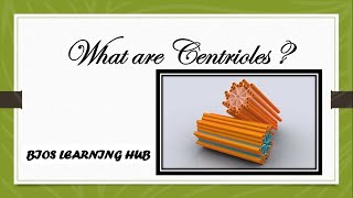 What are centrioles Biology [upl. by Mou]