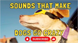 Sounds that make dogs go crazy  sounds dogs like  dog TV  dog entertainment  sounds for dogs [upl. by Analad]