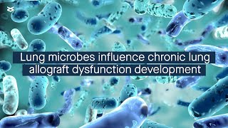 Chronic lung allograft dysfunction is linked to lung microbial community composition [upl. by Jansson]