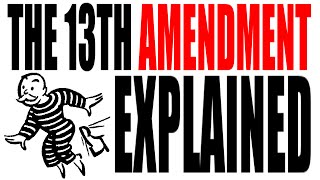 The 13th Amendment Explained The Constitution for Dummies [upl. by Nna]