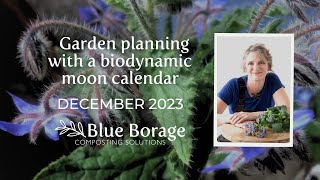 Garden planning with a biodynamic moon calendar for December 2023 Aotearoa New Zealand [upl. by Ginnie860]