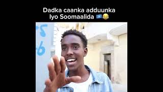 Somalida dhib bdna muqdisho somalia kenyadjibouti somalitiktokforyoushorts FAHAMMEDIA duet [upl. by Zephaniah645]