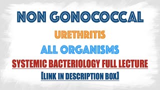 Non Gonococcal Urethritis  All the causative agents Bacteria Viruses fungi Parasites [upl. by Skilken40]