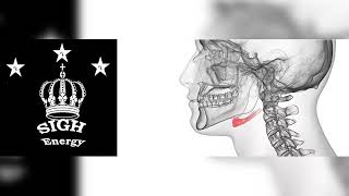 Hyoid bone Healing and Regeneration EXTREMELY POWERFULEnergetically Programmed [upl. by Yraunaj]