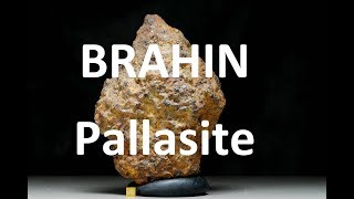 METEORITES360°  Pallasite BRAHIN from Belarus 53kg [upl. by Kronfeld537]