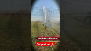 Sprinkler system irrigation sprinklerirrigation sprinkler agriculture shorts viralvideo [upl. by Pinelli]