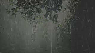 Sonidos de Lluvia y Truenos relajante para dormir 30 minutos [upl. by Mehetabel734]