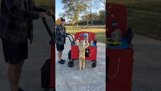 The Perfect Triplet Costume 🎃 triplets diy dad mom cute [upl. by Milt]