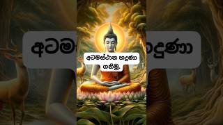 අටමස්ථාන හදුනා ගනිමු🙏atamasthana trending අටමස්ථාන [upl. by Aldon]