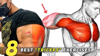 Best Triceps Exercises For Huge ARMS  Triceps Workout [upl. by Ferren]