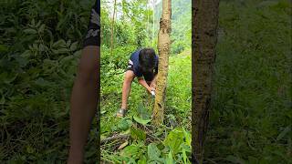 One small act of kindness 🌏 camping survival bushcraft outdoors funny bushcraftfamily [upl. by Juliano926]