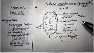 Unit 2 Bacteria Cell Structure  BSc Botany 1st Semester notes Gauhati University [upl. by Vitalis]