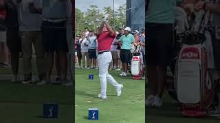 Rory Mcilroy Ironローリーマキロイ アイアン [upl. by Redd]